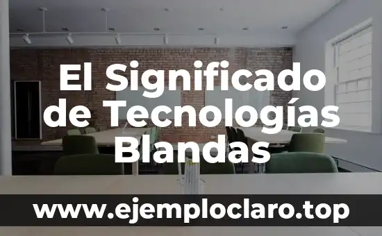 El Significado de El Rito de Rigoberta Bandini 4 El Significado de Tecnologías Blandas