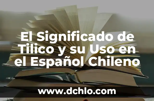 El Significado de Stinky y Su Uso en el Idioma 7 El Significado de Tilico y su Uso en el Español Chileno