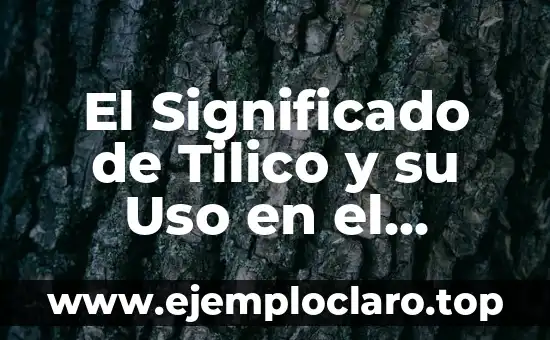 El Significado de Tilico y su Uso en el Español Chileno