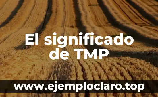 Expresiones de Paraguay y su significado: Un viaje cultural 3 El significado de TMP