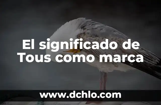 C贸mo Insertar Marca de Agua en PowerPoint 5 El significado de Tous como marca
