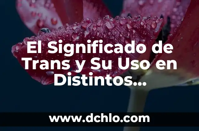 Características y sus implicaciones en diferentes contextos 5 El Significado de Trans y Su Uso en Distintos Contextos