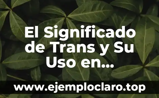 El Significado de Trans y Su Uso en Distintos Contextos