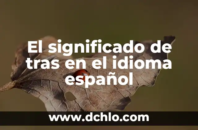 El segundo idioma más hablado del mundo: ¡Descubre cuál es! 5 El significado de tras en el idioma español