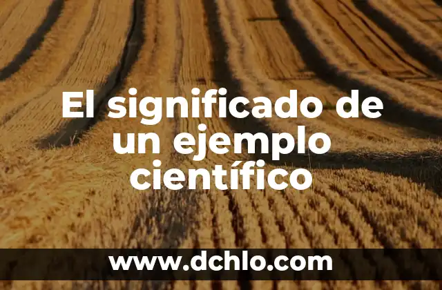 Novelas significado wikipediatipos de novelas 7 El significado de un ejemplo científico