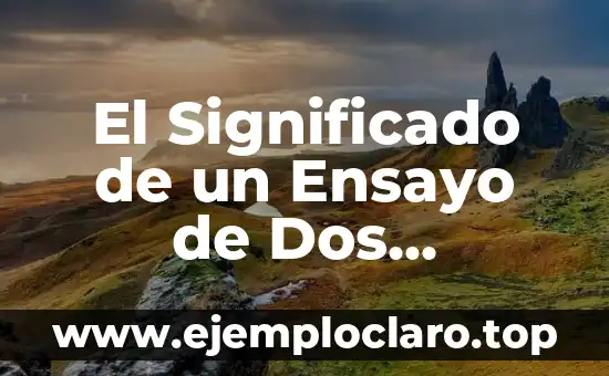 El Significado de un Ensayo de Dos Cuartillas