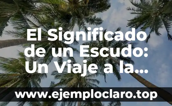 El Significado de un Escudo: Un Viaje a la Heraldry