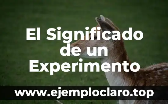 El Significado de un Experimento