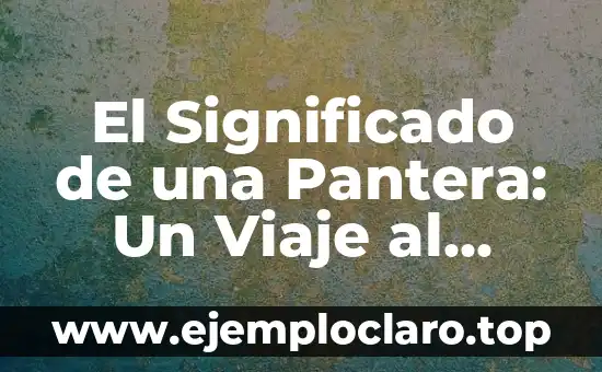 El Significado de una Pantera: Un Viaje al Corazón de lo Salvaje