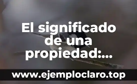 El significado de una propiedad: comprendiendo sus características