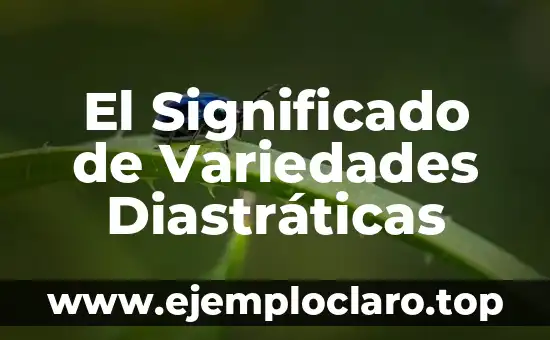 El Significado de Variedades Diastráticas