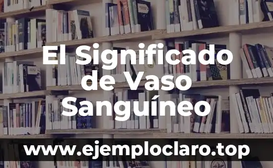 El Significado de Vaso Sanguíneo