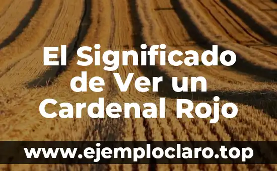 ¿Cuál es el color que se obtiene al mezclar rojo y azul? 7 El Significado de Ver un Cardenal Rojo