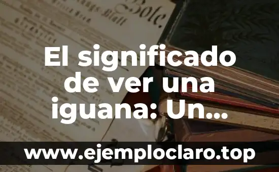 Significado del Nombre Nathan: Origen y Curiosidades 5 El significado de ver una iguana: Un mundo de simbolismo y curiosidades