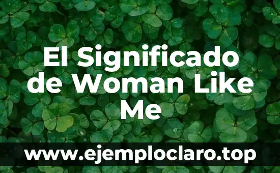 El Significado de Woman Like Me