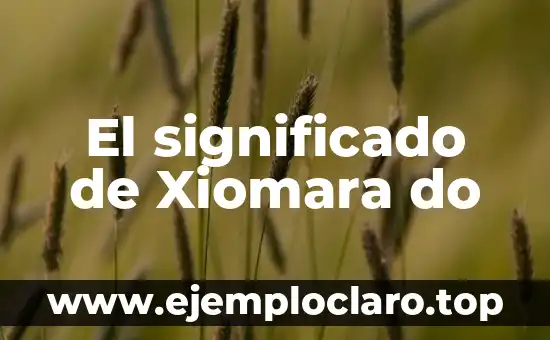 El significado de Xiomara do