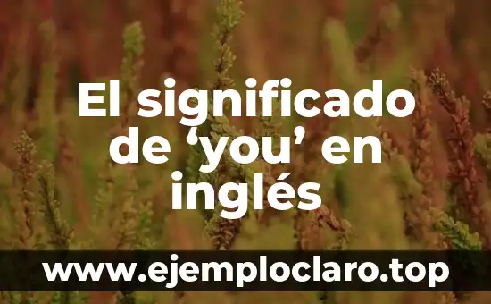 ¿Cuál es el significado de revelación? 4 El significado de ‘you’ en inglés