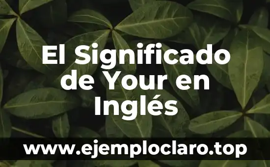 ¿Cuál es el significado de revelación? 6 El Significado de Your en Inglés