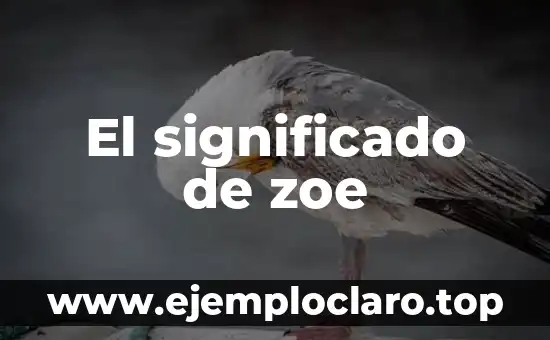 El significado de zoe