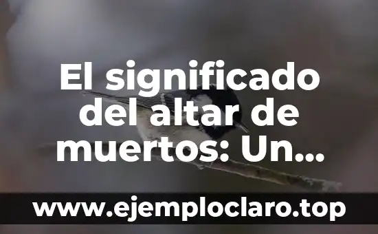 Nombres con significado de trabajador: Un homenaje a la laboriosidad 7 El significado del altar de muertos: Un homenaje a la vida y la memoria