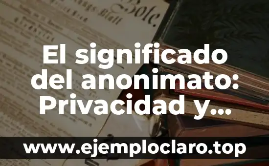 Significado y Concepto de Redarguir 3 El significado del anonimato: Privacidad y secrecía en la era digital