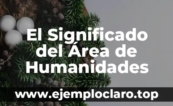Cómo Calcular el Área del Rombo: Fórmula y Ejemplos 6 El Significado del Área de Humanidades