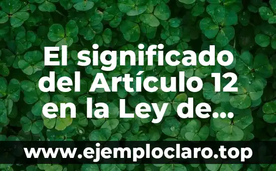 Interponer Recurso de Amparo Significado 3 El significado del Artículo 12 en la Ley de Amparo