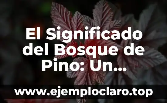 El Significado del Bosque de Pino: Un Entorno Natural Emblemático