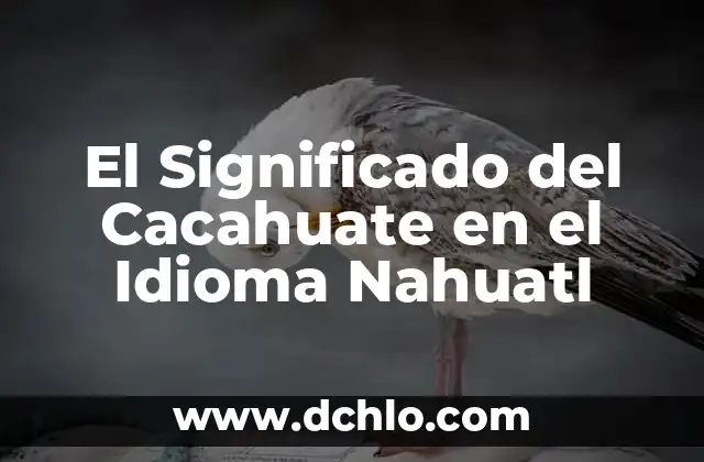 El Significado de Chichiltik en Nahuatl 6 El Significado del Cacahuate en el Idioma Nahuatl