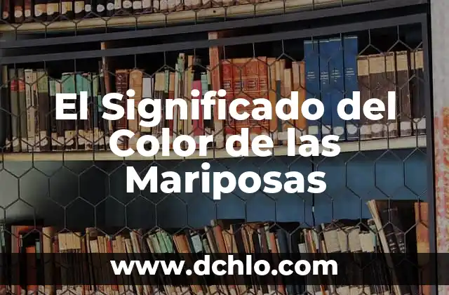 Significado de los Colores en los Collares de Santería 4 El Significado del Color de las Mariposas