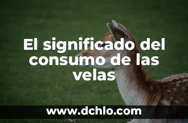 Significado del Dulce de Chilacayota: Un Viaje a la Tradición Mexicana 3 El significado del consumo de las velas