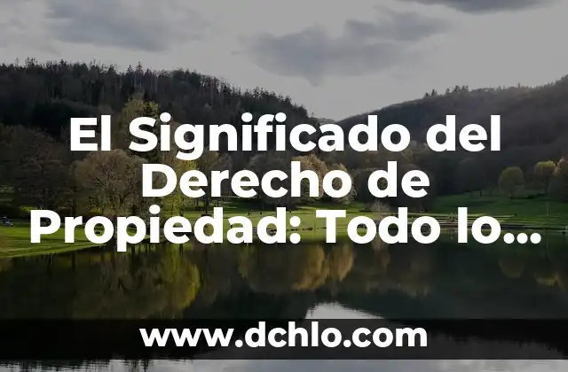 El Principio del Derecho en la Sociedad Moderna 8 El Significado del Derecho de Propiedad: Todo lo que Necesitas Saber