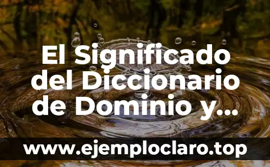 Nombre de Dominio y su Significado en la Tecnología Actual 7 El Significado del Diccionario de Dominio y Su Importancia