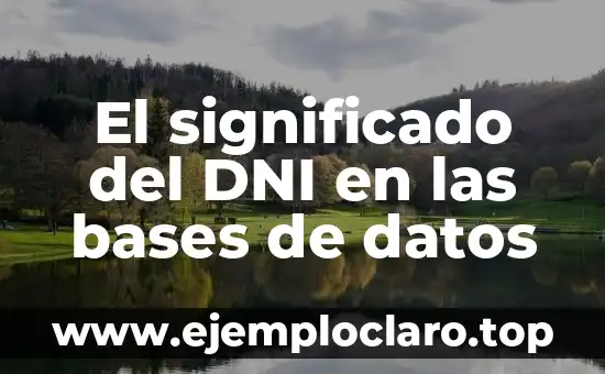 El significado del DNI en las bases de datos