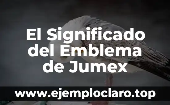 El Significado del Emblema de Jumex