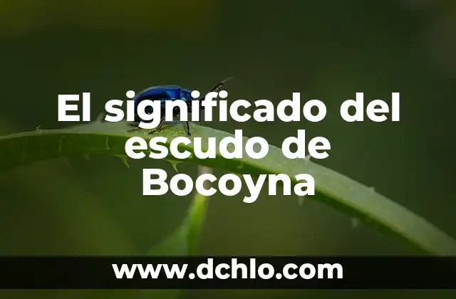 Escudo y significado de Jalisco 8 El significado del escudo de Bocoyna