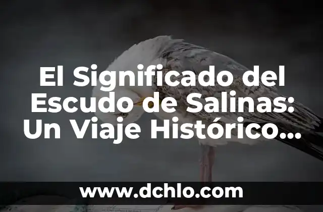Cómo Hacer un Escudo Nacional con Material Reciclable 8 El Significado del Escudo de Salinas: Un Viaje Histórico y Cultural