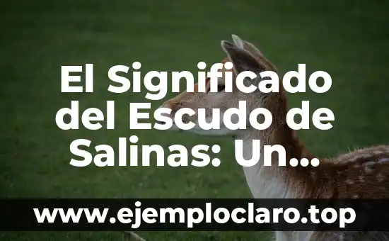 El Significado del Escudo de Salinas: Un Viaje Histórico y Cultural