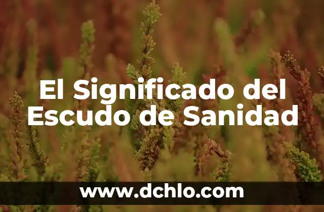 El Significado Espiritual de Soñar con Roedores 8 El Significado del Escudo de Sanidad