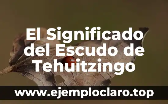 El Significado del Escudo de Tehuitzingo