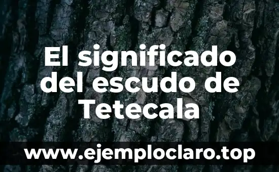 Nombres con significado oscuro 3 El significado del escudo de Tetecala