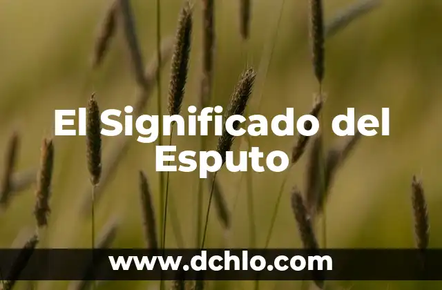 El significado del escepticismo 3 El Significado del Esputo