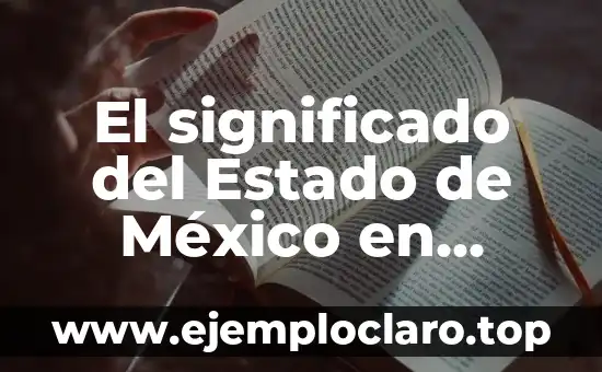 Audiencia 345 - Un Concepto Legal en el Estado de Veracruz 8 El significado del Estado de México en nuestra entidad federativa