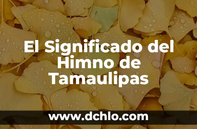Sweater Weather: significado de la canción y su impacto musical 5 El Significado del Himno de Tamaulipas