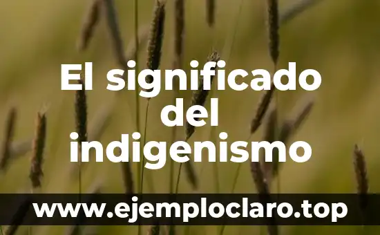 El significado del indigenismo
