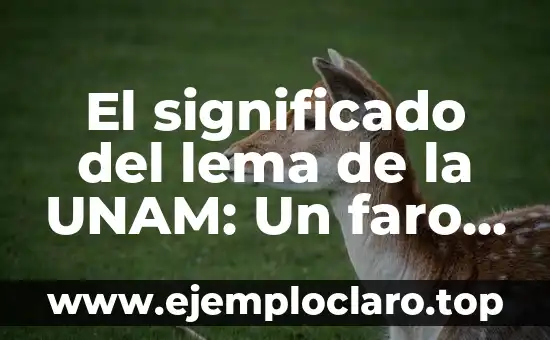 El significado del lema de la UNAM: Un faro de conocimiento