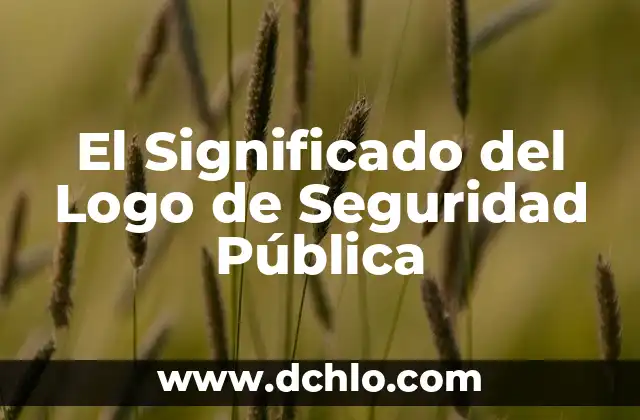 El Significado de Ser Alto: Más Allá de la Física 6 El Significado del Logo de Seguridad Pública