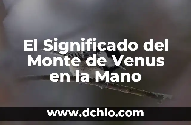 Mano de Buda - El Símbolo y su Profundo Significado 7 El Significado del Monte de Venus en la Mano