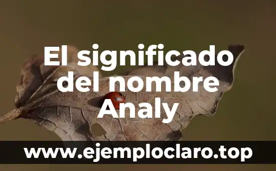 El significado del nombre Analy