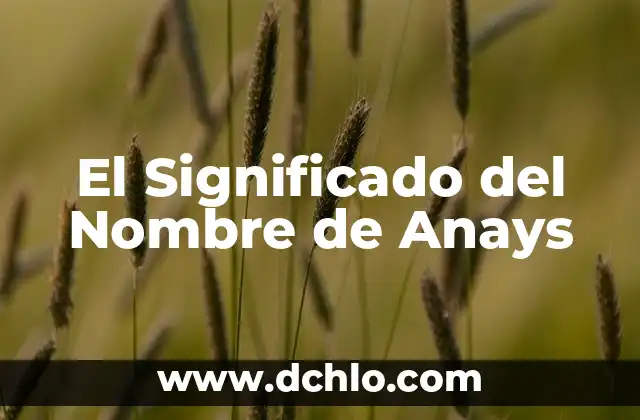 Significado del Nombre de Anbner 7 El Significado del Nombre de Anays